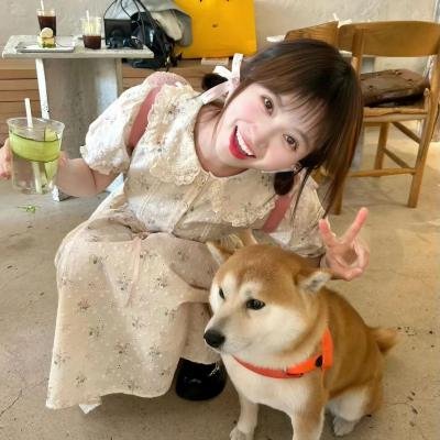 侦探的侦探